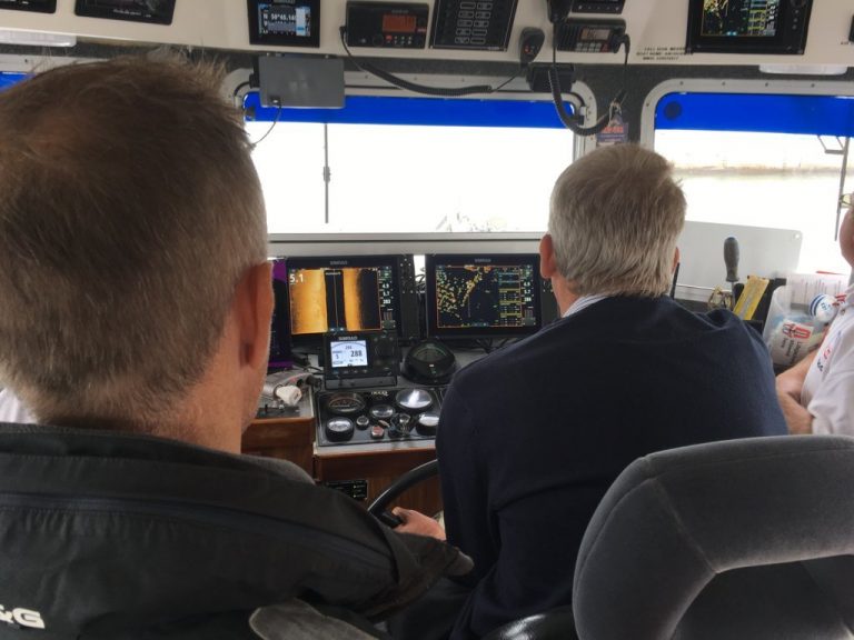 navico display test