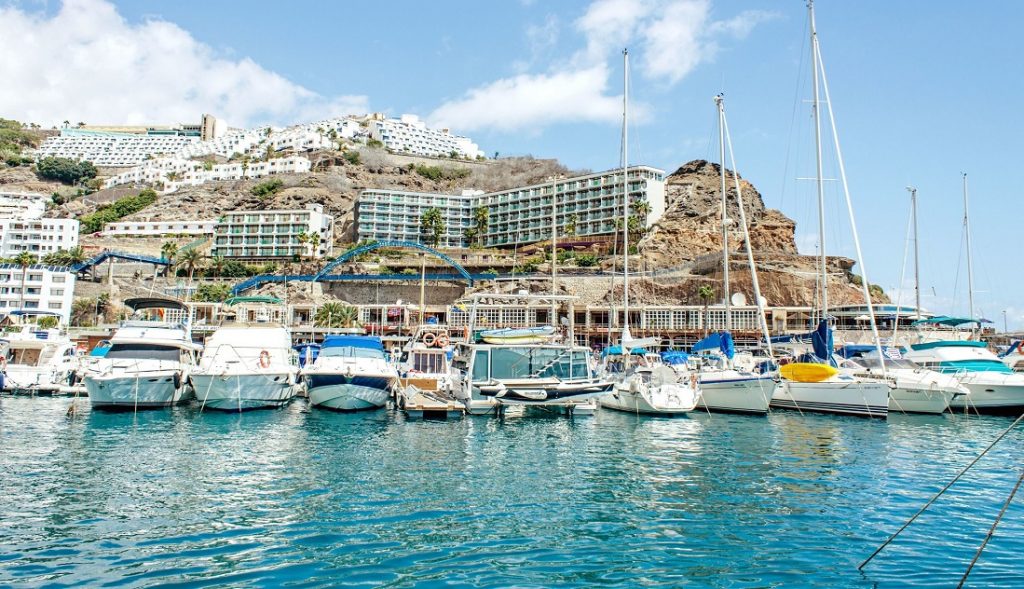 docked boats