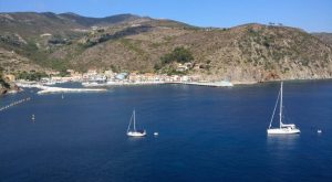 Ports & Marinas Survey. Capraia: welcoming marina but pay toilets and showers