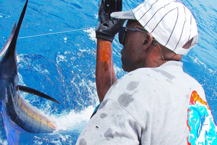 Kenia Big Game Fishing