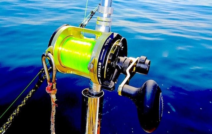 fishing line