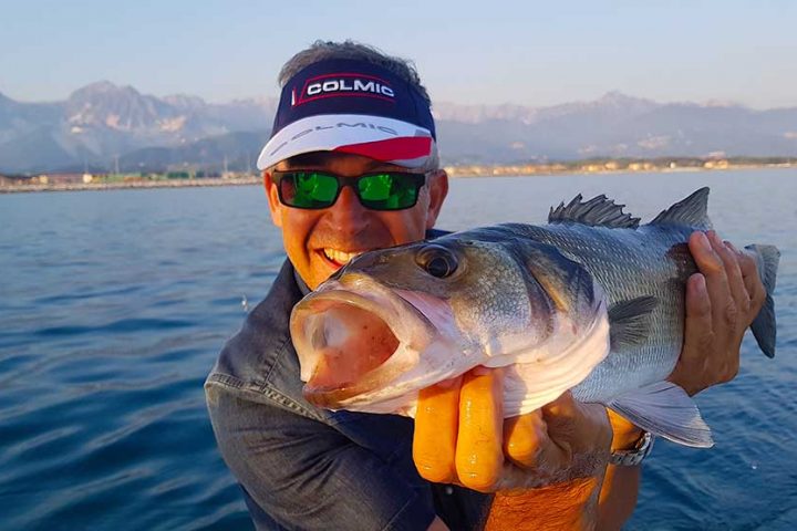 sea bass