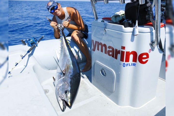 tuna drifting, chumming by hand