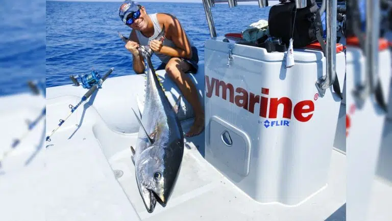 tuna drifting, chumming by hand