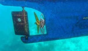 When a line gets twisted around the propeller