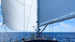 5 good reasons to have fast sails when cruising. Be1 Sails on test