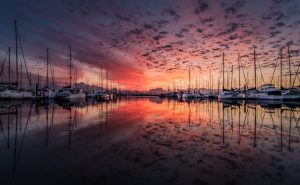 Sailing, motorboating and sea trials