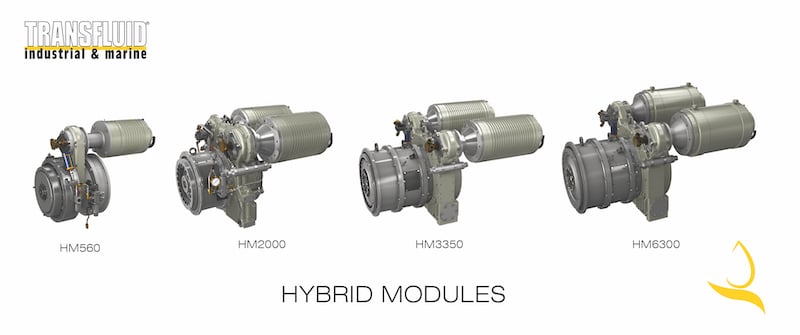 hybrid modules