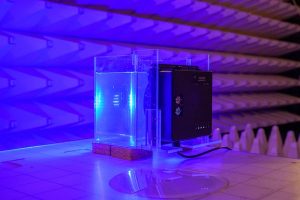 underwater lighting