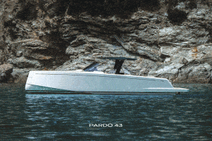 pardo 43