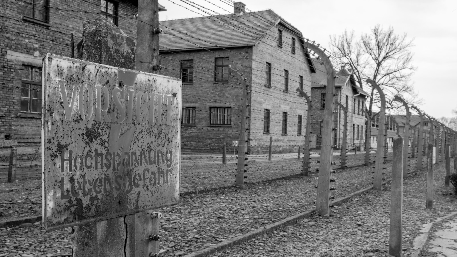 St.Louis Holocaust Remembrance Day