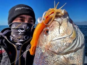 vertical fishing with soft plastic lures