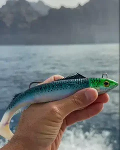 soft plastic lures shad