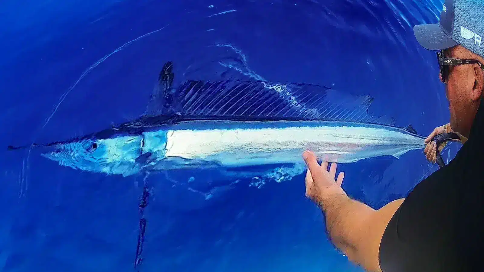 deep sea trolling swordfish
