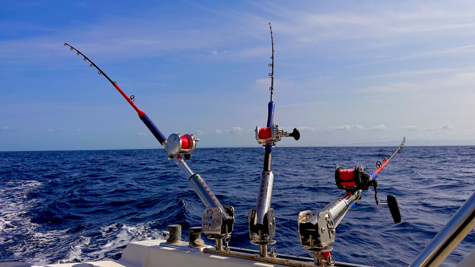 Deep sea trolling in the Mediterranean