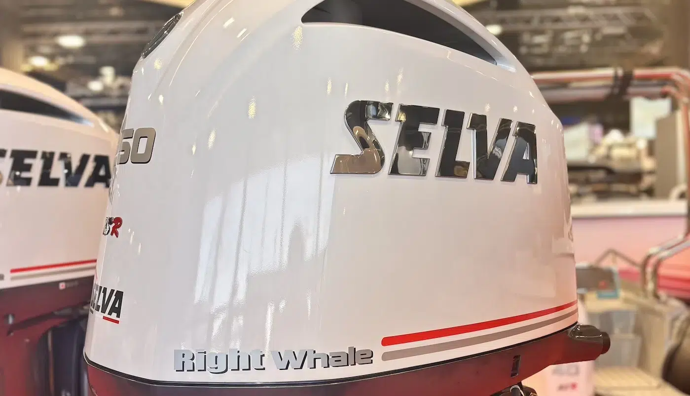 BALLENA FRANCA DE LA SELVA BALLENA FRANCA DE LA SELVA