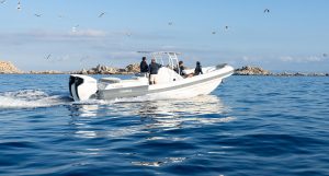 Honda Marine at the Paris Boat Show with 10 partners and endless new products